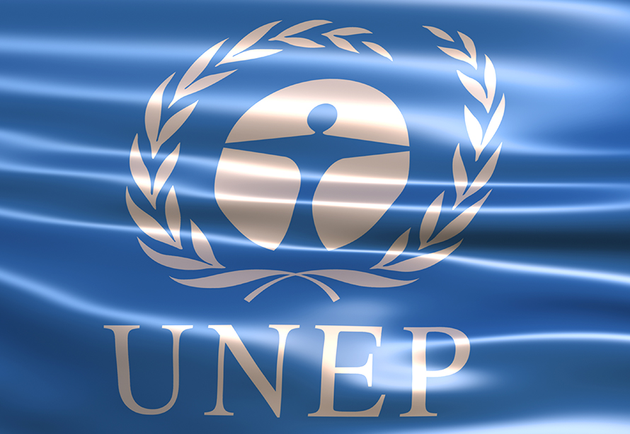 Оон природа. ЮНЕП. ЮНЕП 1972. ООН ЮНЕП. ЮНЕП символ.